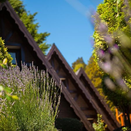 Cabanas Antilhue San Martín de los Andes Екстериор снимка